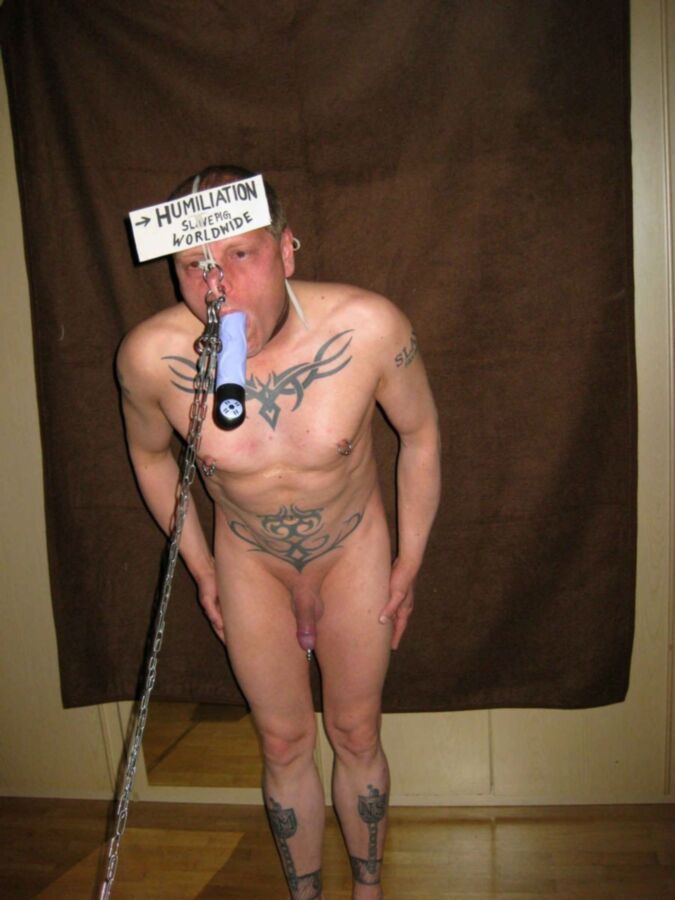 Free porn pics of Sklavenschwein Walter - humiliation 2 of 24 pics