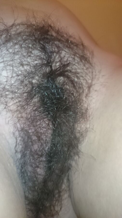 Free porn pics of my hairy sexy wife 2 of 8 pics