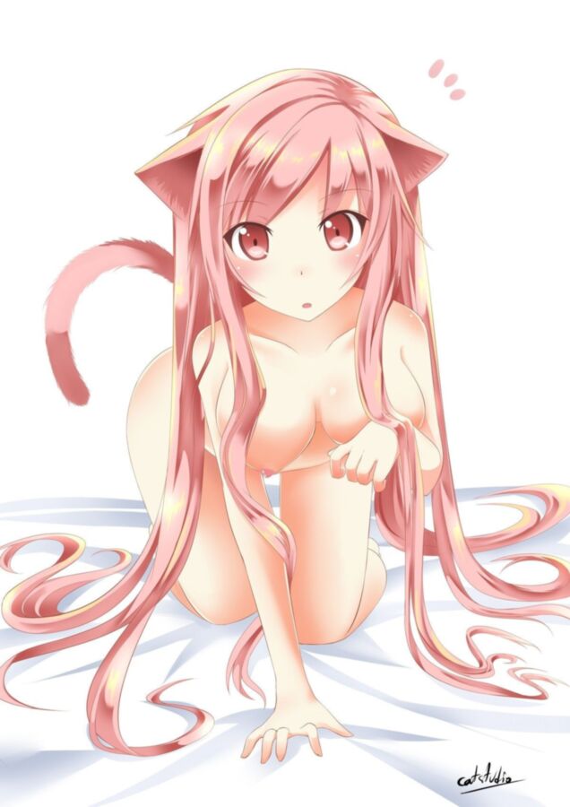 Sexy Neko Girl Sexy Neko Girl