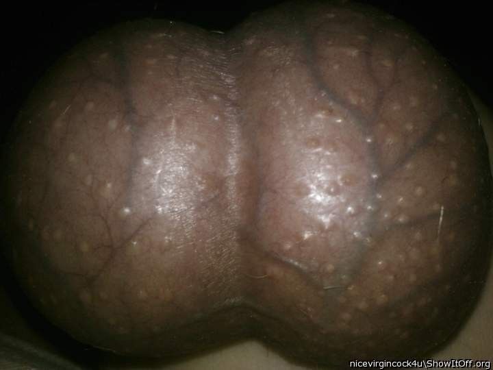 Free porn pics of Bulging balls 9 of 11 pics