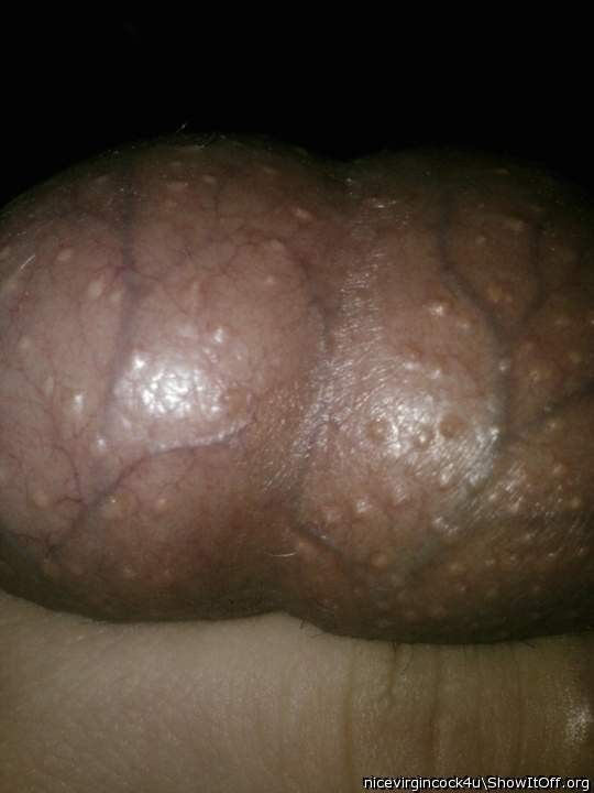 Free porn pics of Bulging balls 4 of 11 pics