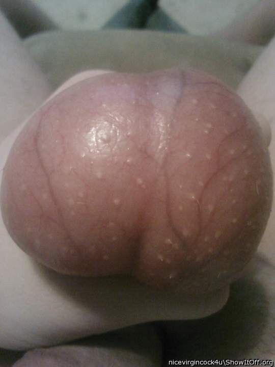 Free porn pics of Bulging balls 8 of 11 pics