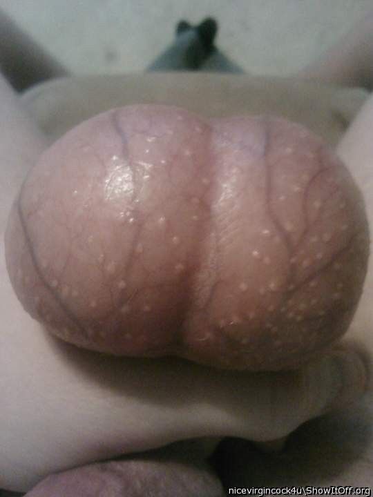 Free porn pics of Bulging balls 1 of 11 pics
